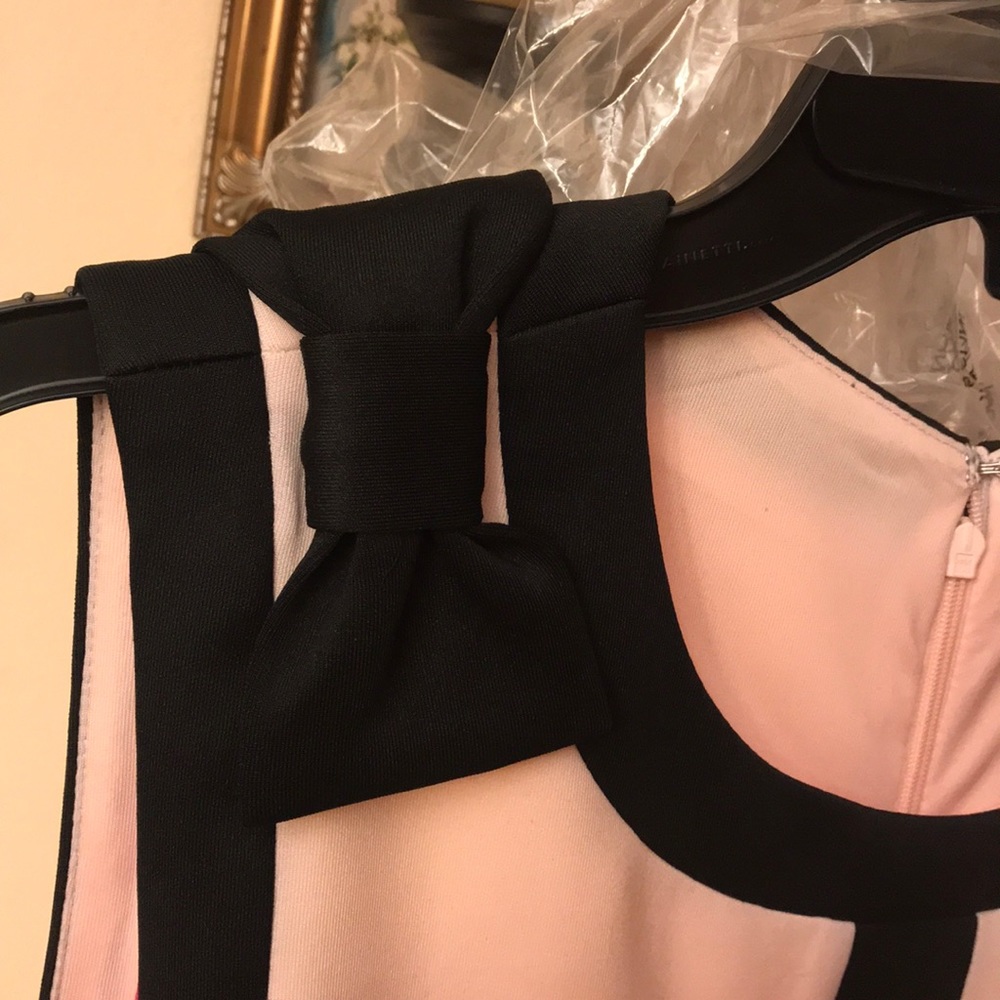 Betsey Johnson sleeveless lined  blush/black,NWT - Picture 10 of 16